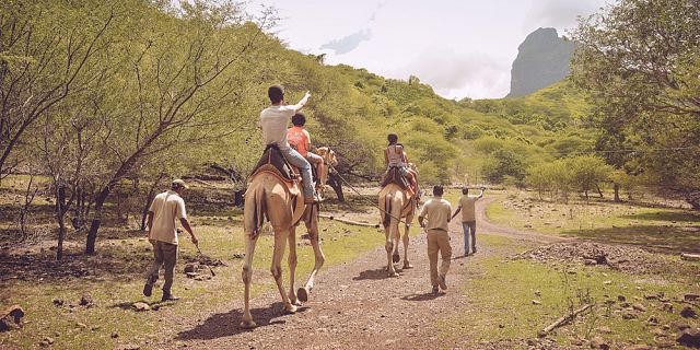 Camel ride activities  (3)